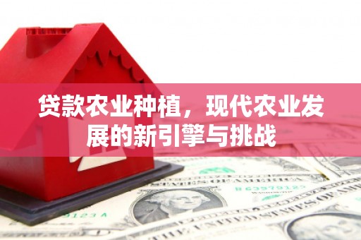乐都贷款农业种植，现代农业发展的新引擎与挑战