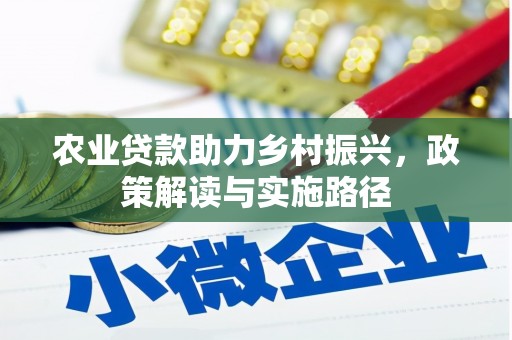 乐都农业贷款助力乡村振兴，政策解读与实施路径