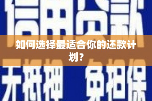乐都如何选择最适合你的还款计划？