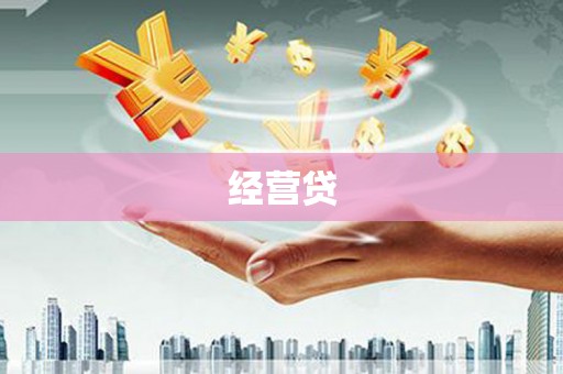 乐都经营贷