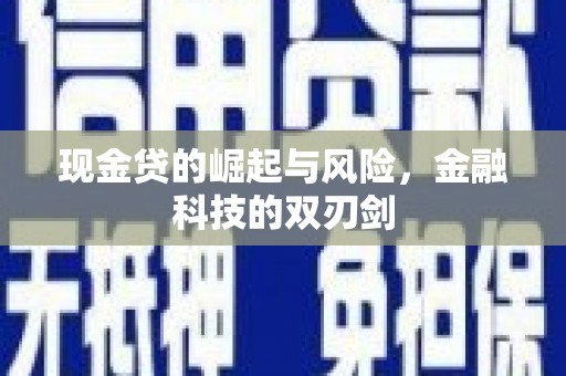 乐都现金贷的崛起与风险，金融科技的双刃剑