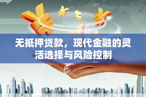 乐都无抵押贷款，现代金融的灵活选择与风险控制