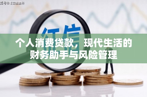 乐都个人消费贷款，现代生活的财务助手与风险管理