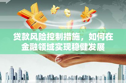 乐都贷款风险控制措施，如何在金融领域实现稳健发展