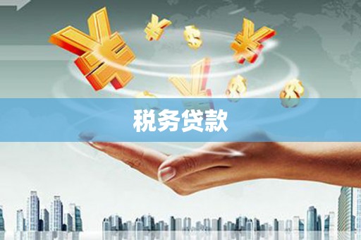 乐都税务贷款