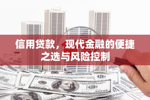 乐都信用贷款，现代金融的便捷之选与风险控制