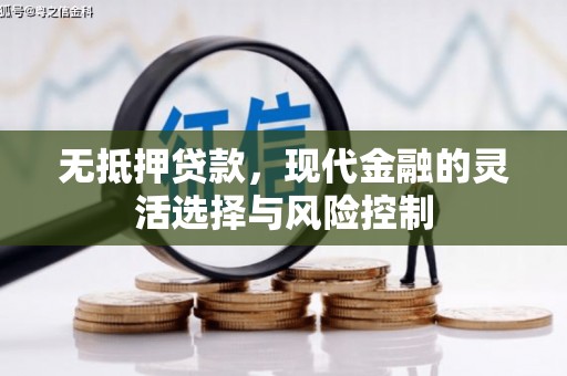 乐都无抵押贷款，现代金融的灵活选择与风险控制