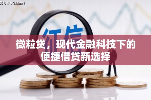 乐都微粒贷，现代金融科技下的便捷借贷新选择