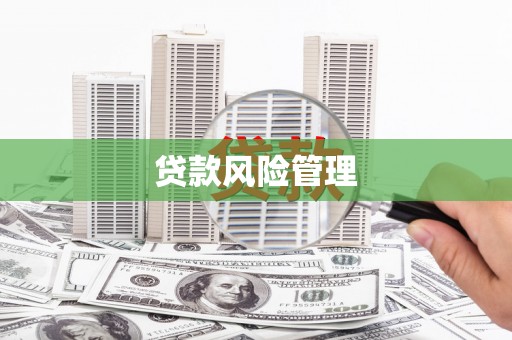乐都贷款风险管理