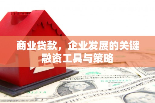 乐都商业贷款，企业发展的关键融资工具与策略