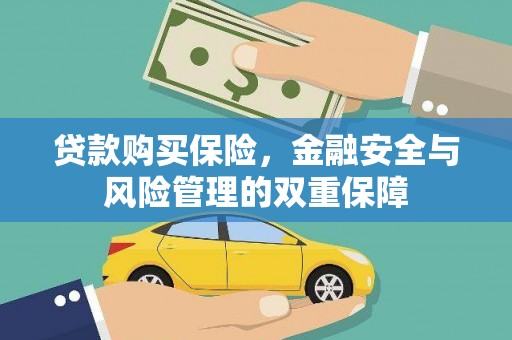 乐都贷款购买保险，金融安全与风险管理的双重保障