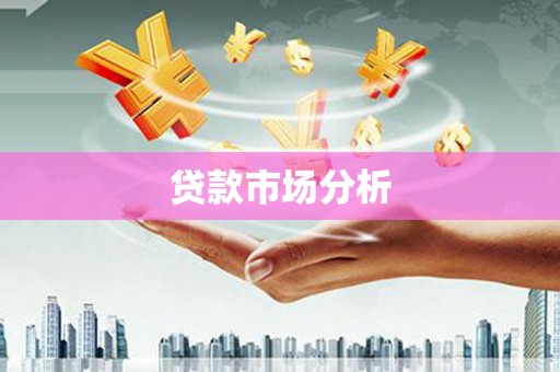乐都贷款市场分析