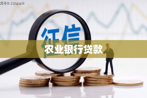 乐都农业银行贷款