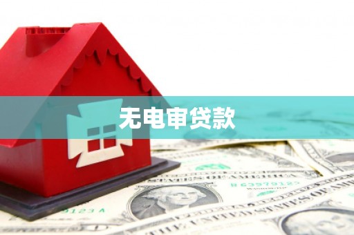 乐都无电审贷款