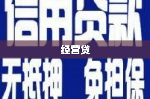 乐都经营贷