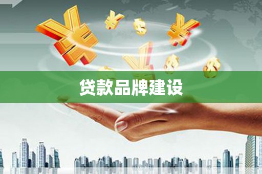 乐都贷款品牌建设
