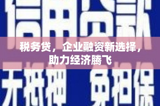 乐都税务贷，企业融资新选择，助力经济腾飞