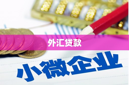 乐都外汇贷款