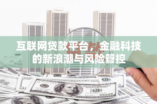 乐都互联网贷款平台，金融科技的新浪潮与风险管控