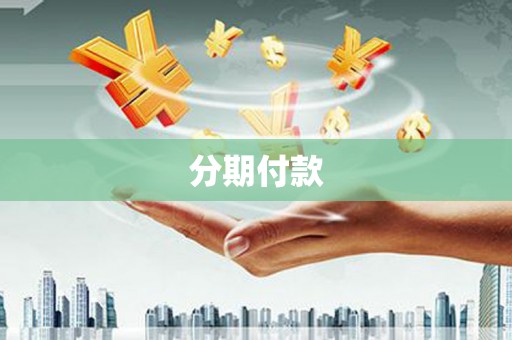 乐都分期付款