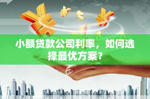 乐都小额贷款公司利率，如何选择最优方案？