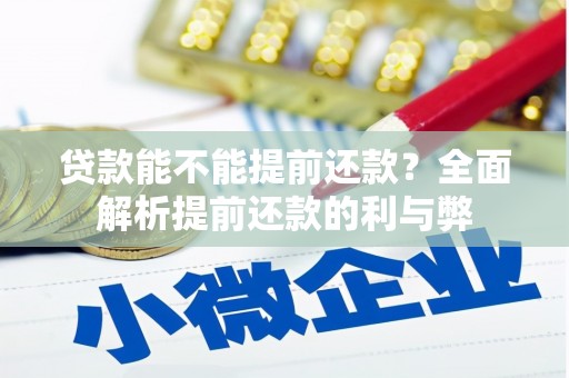 乐都贷款能不能提前还款？全面解析提前还款的利与弊