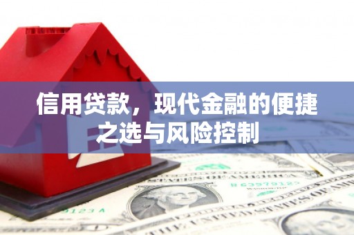 乐都信用贷款，现代金融的便捷之选与风险控制