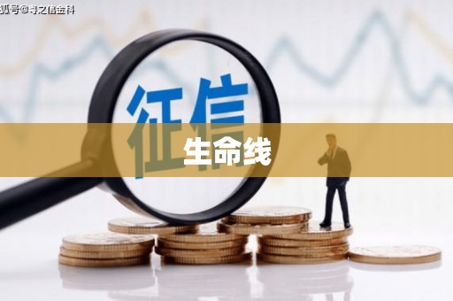 乐都生命线