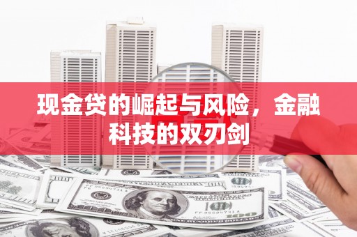 乐都现金贷的崛起与风险，金融科技的双刃剑