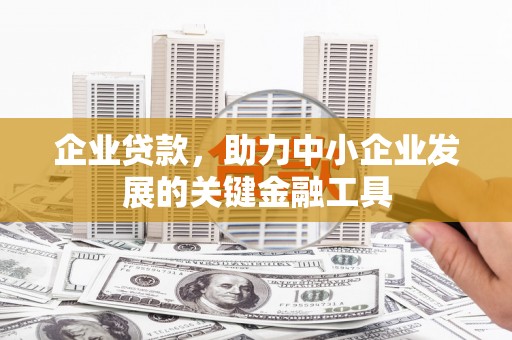 乐都企业贷款，助力中小企业发展的关键金融工具