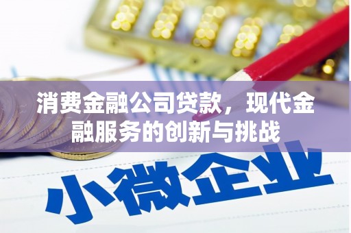 乐都消费金融公司贷款，现代金融服务的创新与挑战