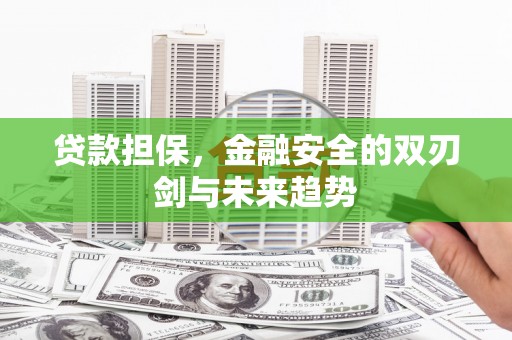 乐都贷款担保，金融安全的双刃剑与未来趋势