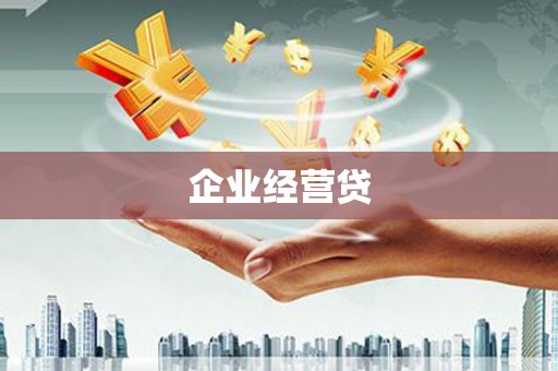 乐都企业经营贷