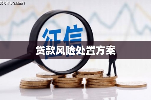 乐都贷款风险处置方案