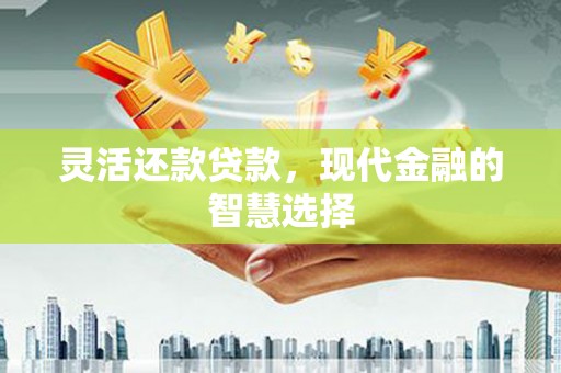 乐都灵活还款贷款，现代金融的智慧选择