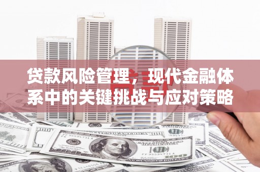 乐都贷款风险管理，现代金融体系中的关键挑战与应对策略