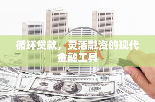 乐都循环贷款，灵活融资的现代金融工具
