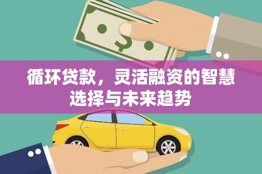 乐都循环贷款，灵活融资的智慧选择与未来趋势