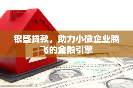 乐都银盛贷款，助力小微企业腾飞的金融引擎
