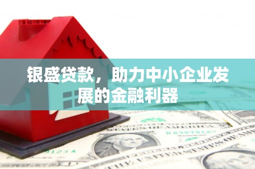 乐都银盛贷款，助力中小企业发展的金融利器