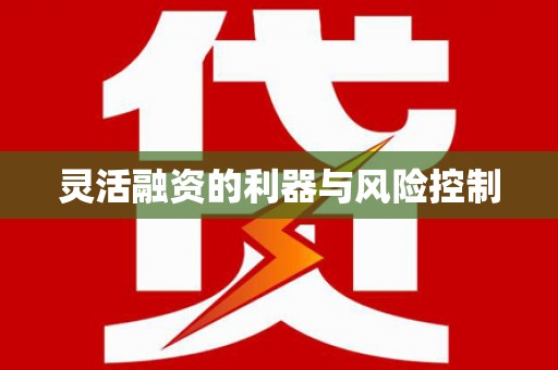 乐都灵活融资的利器与风险控制