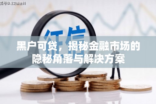 乐都黑户可贷，揭秘金融市场的隐秘角落与解决方案