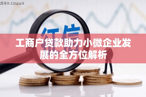 乐都工商户贷款助力小微企业发展的全方位解析