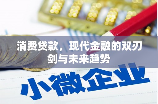 乐都消费贷款，现代金融的双刃剑与未来趋势