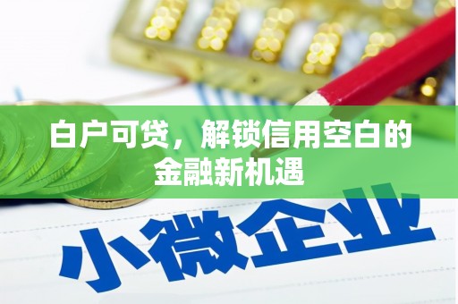 乐都白户可贷，解锁信用空白的金融新机遇