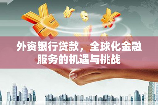 乐都外资银行贷款，全球化金融服务的机遇与挑战