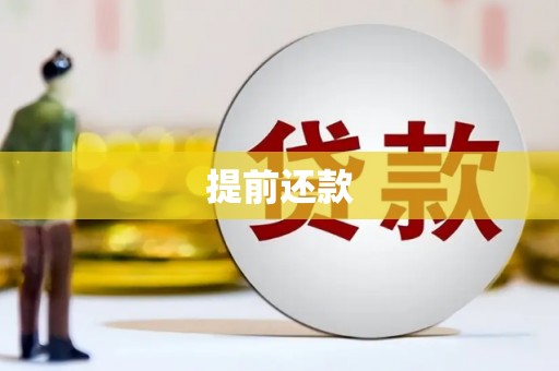 乐都提前还款
