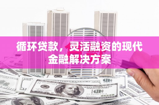 乐都循环贷款，灵活融资的现代金融解决方案
