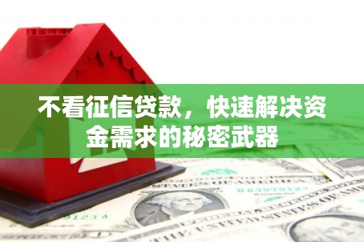 乐都不看征信贷款，快速解决资金需求的秘密武器