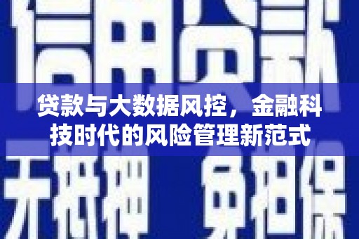 乐都贷款与大数据风控，金融科技时代的风险管理新范式